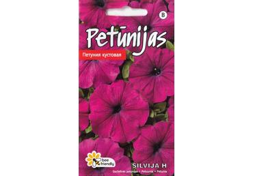 Petunijos SILVIJA H