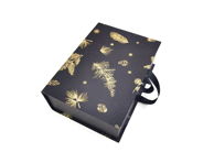 Dovanų dėžutė, 30 x 21,5 x 10,5 cm, 1 vnt.