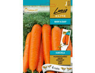 Morkos Karotela,  LUCIA ELITE