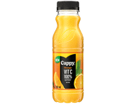 Apelsinų nektaras CAPPY, 330 ml