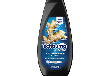 Plaukų šampūnas SCHAUMA MEN Anti-Dandruff Intensive, 350 ml