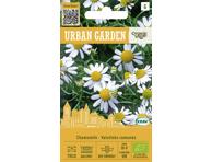 Vaistinių ramunių sėklos