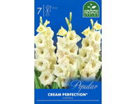 Kardeliai Cream Perfection  8-10cm, 7 svogūnėlai 1848