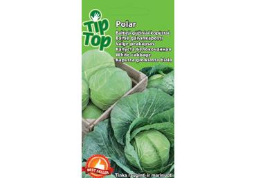 Kopūstai Polar