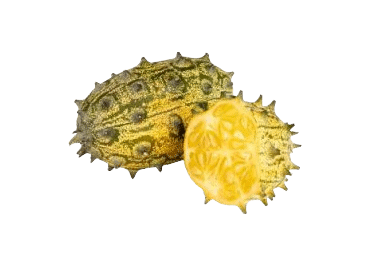 Raguotasis melionas, 1 vnt.