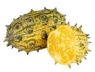 Raguotasis melionas, 1 vnt.