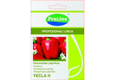 Paprika  "Yecla H" - 8s