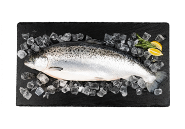Šviežios Atlantinės lašišos (lot. Salmo Salar), su galvomis, 1 kg - 1