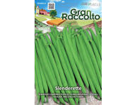 Žemaūgės daržinės pupelės Slenderette 1