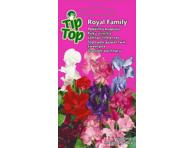 Pelėžirnis Royal Family, mišinys, vijoklinis