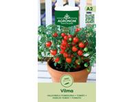 Pomidorai Vilma,  AGRONOM