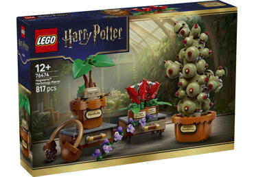 Konstruktorius LEGO HOGVARTSO AUGALAI 76474