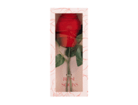 Moteriškos kojinės, SEVEN LEMON, 39-46 dydis, 1 pora