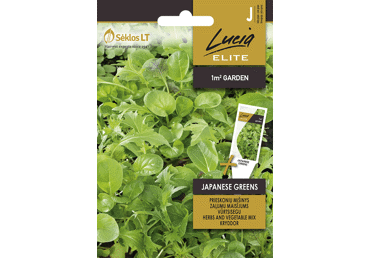 Žalumynų mišinio JAPANESE GREENS sėklos