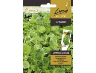Žalumynų mišinio JAPANESE GREENS sėklos