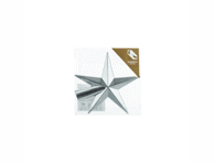 Kalėdų eglės viršūnės žaislas