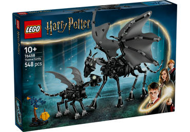 Konstruktorius LEGO Harry Potter 76458, 1 vnt.