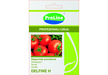 Pomidorai  "Delfine H" - 10s
