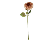 Dirbtinė gėlė ELEMENTS SENSE, 3 spalvos, 74 cm