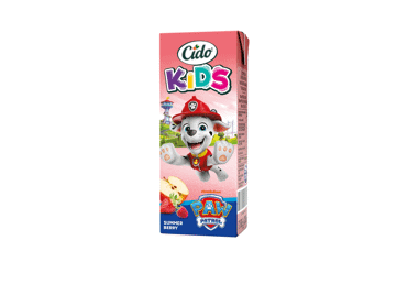 Vasaros uogų sulčių gėrimas CIDO KIDS, 200 ml - 2