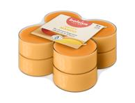 Arbatinės žvakės MANGO, 8h, 8 vnt