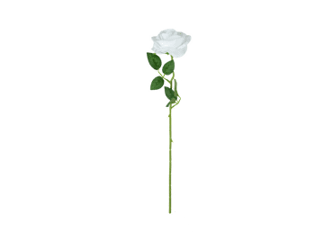 Dirbtinė gėlė ELEMENTS SENSE, 48 cm - 2
