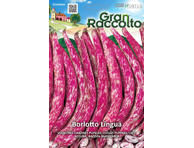 Vijoklinės daržinės pupelės Borlotto Lingua di Fuoco 50