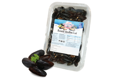 Šviežios paprastosios midijos (lot. Mytilus edulis), 1 kg - 1