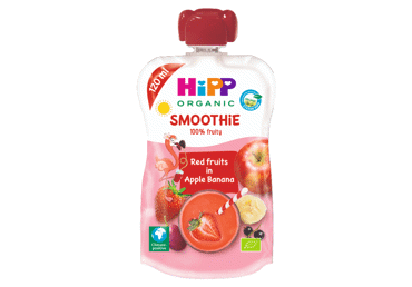 Ekol.obuolių, bananų, uogų glotnutis HIPP (nuo 12 mėn.), 120 ml