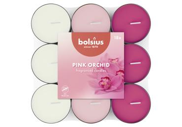 Skridininės žvakės BOLSIUS Pink Orchid, 18 vnt.