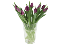 Tulpių puokštė, 9 vnt 