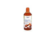 Auksaspalvis sirupas DANSUKKER, 750 g