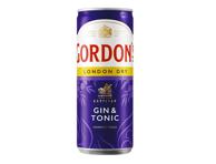 Džino kokteilis GORDON'S London Dry Gin & Tonic, 250 ml