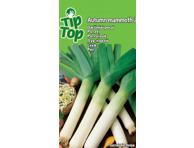 Porai Autumn mammoth 2