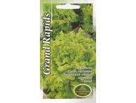 Salotos Grand Rapids