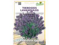 Tikrosios lavandulos 0,35