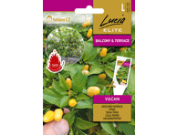 Aitriosios paprikos VULCAIN, 1 g