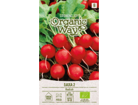 Ridikų SAXA 2 sėklos