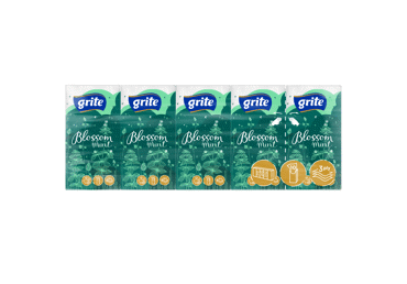 Popierinės nosinaitės GRITE BLOSSOM MINT, 10 vnt.
