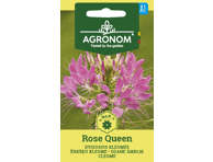 Dygiosios kleomės Rose queen,  AGRONOM