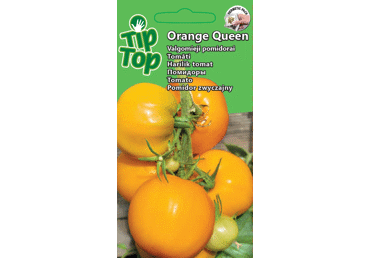 Pomidorai Orange Queen