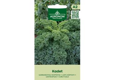 Kopūstai lapiniai KADET,  AGRONOM