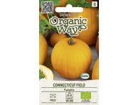 Moliūgai „Connectucut field“ 1 vnt. 