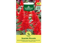 Šalavijai Scarlet Piccolo,  AGRONOM