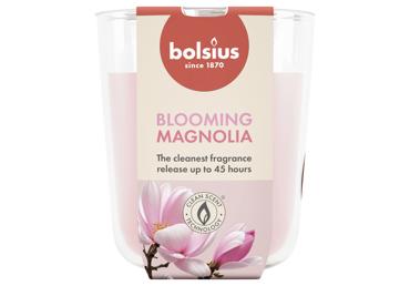 Kvapi žvakė stiklinėje BOLSIUS magnolia, 97/85 mm - 2
