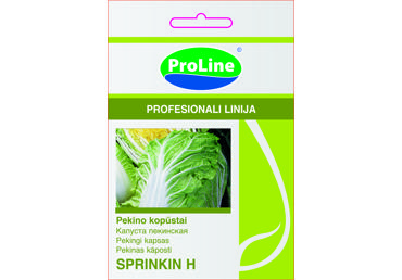 Pekino kopūstai  "Sprinkin H"   - 25s