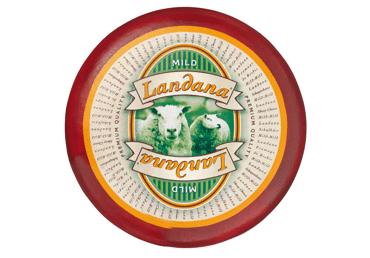 Avių pieno sūris LANDANA CHEESE MILD, 50 % rieb. s. m., 1 kg