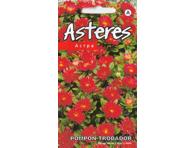 Astros Trobador red