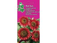 Saulėgrąža Red Sun