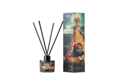 Namų kvapas CANDLE FAMILY Terra Incognita, 120 ml